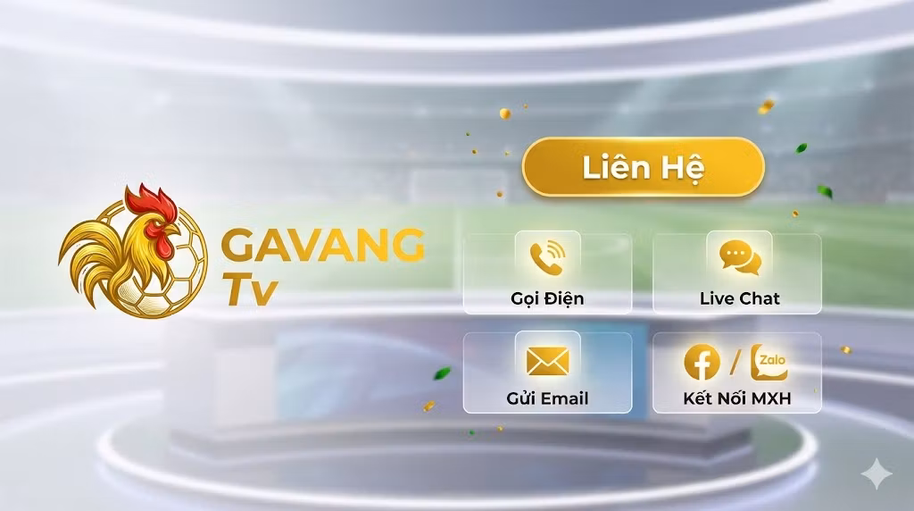 Các phương thức liên hệ chăm sóc khách hàng trực tuyến 24/7 của Gavang TV bao gồm Hotline, Live Chat và Email.